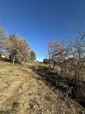 Vente terrain VILLENEUVE Alpes-de-Haute-Provence