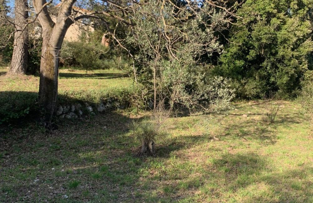 Vente terrain + maison DRAGUIGNAN Var