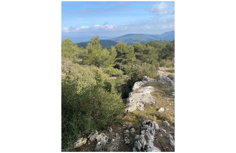 Vente terrain PLAN-D'AUPS-SAINTE-BAUME Var