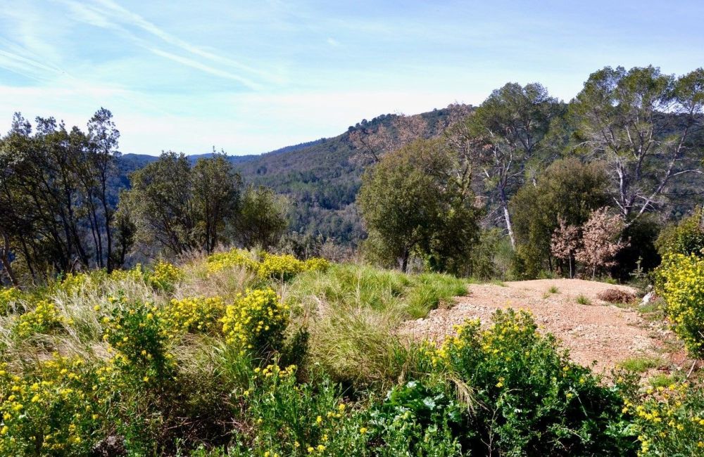 Vente terrain LE TIGNET Alpes-Maritimes