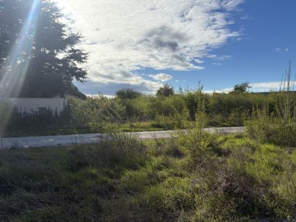 Vente terrain VAISON-LA-ROMAINE Vaucluse