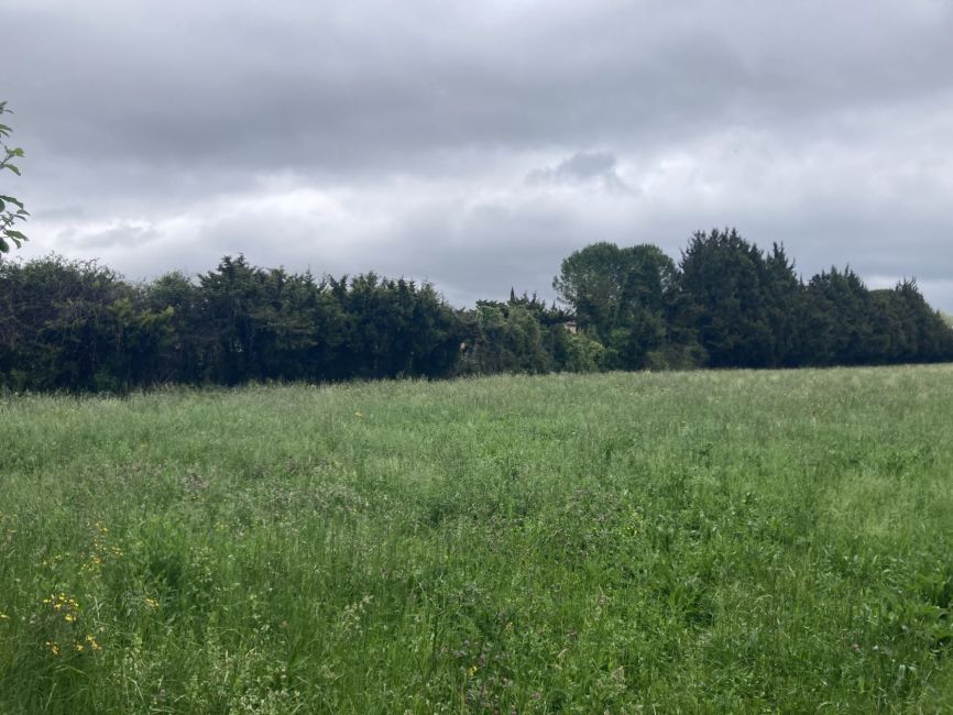 Vente terrain L'ISLE-SUR-LA-SORGUE Vaucluse