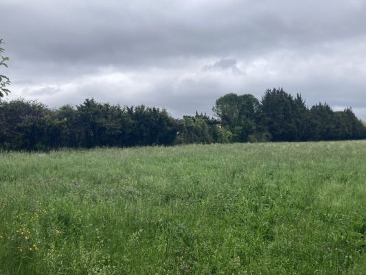 Vente terrain L'ISLE-SUR-LA-SORGUE Vaucluse