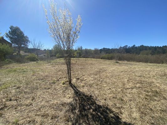 Vente terrain TOURVES Var