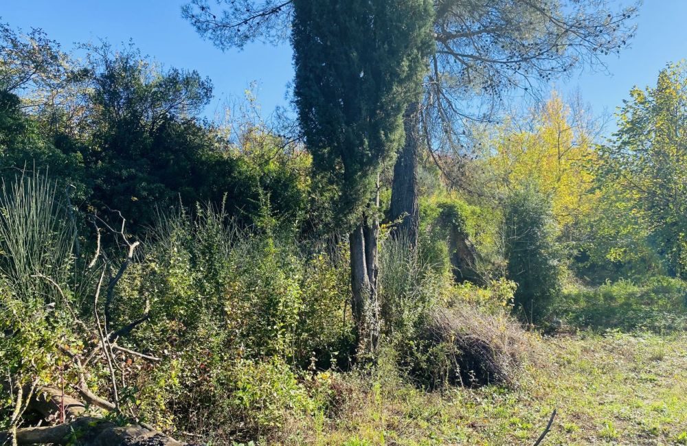 Vente terrain TOURVES Var