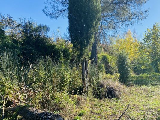 Vente terrain TOURVES Var