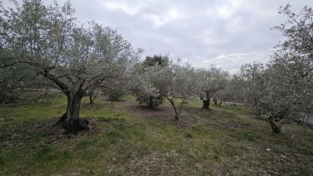 Vente terrain MANOSQUE Alpes-de-Haute-Provence