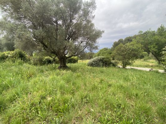Vente terrain LE CASTELLET Var