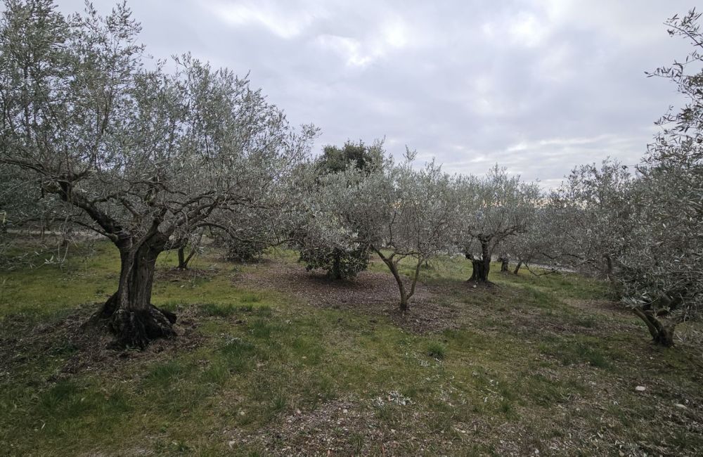 Vente terrain + maison MANOSQUE Alpes-de-Haute-Provence