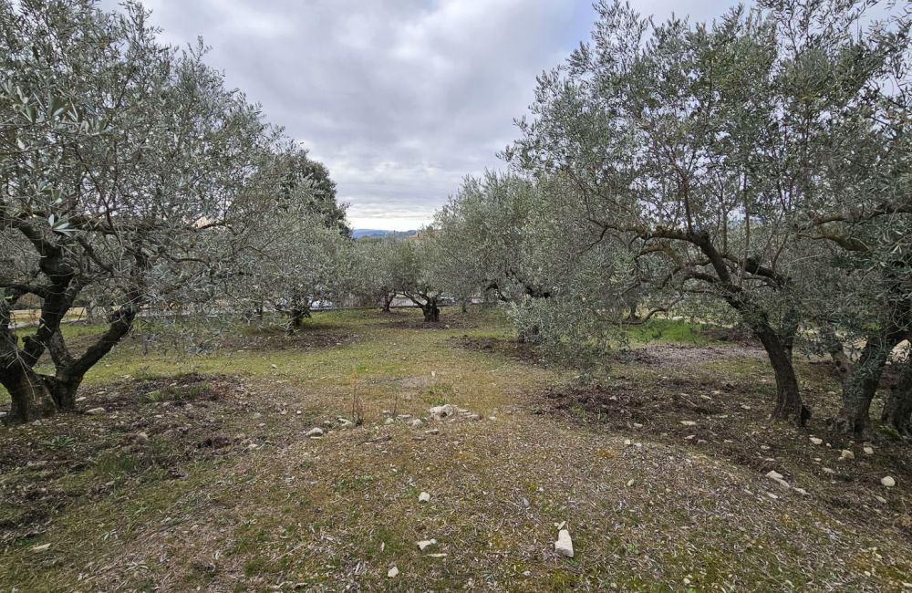 Vente terrain + maison MANOSQUE Alpes-de-Haute-Provence