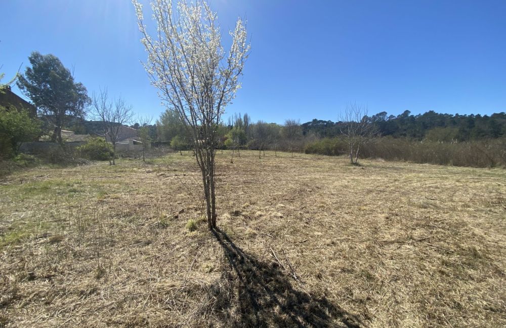 Vente terrain + maison TOURVES Var