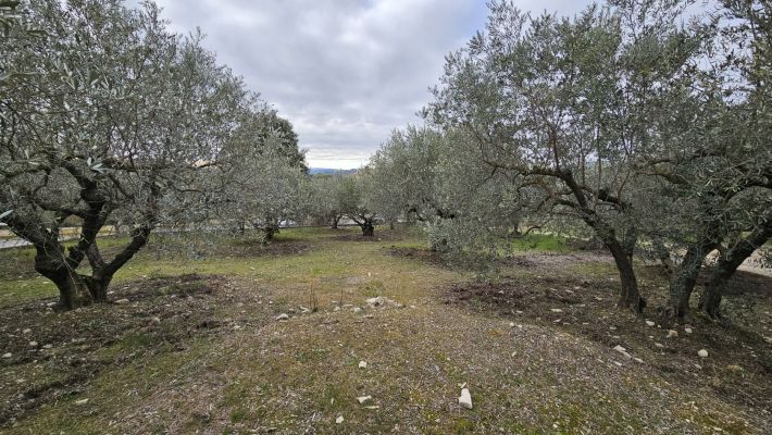 Vente terrain + maison MANOSQUE Alpes-de-Haute-Provence