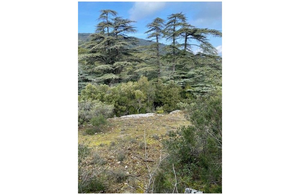 Vente terrain PLAN-D'AUPS-SAINTE-BAUME Var