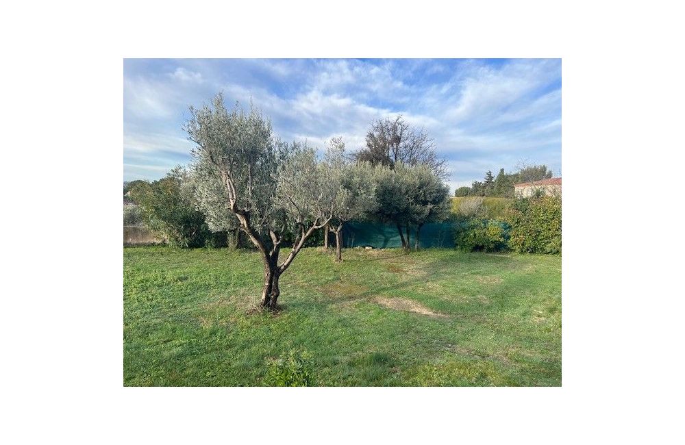 Vente terrain + maison LA FARE-LES-OLIVIERS Bouches-du-Rhône