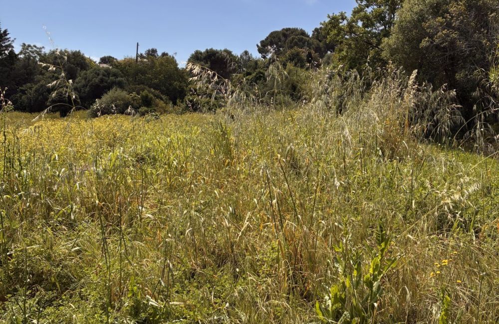 Vente terrain HYERES Var