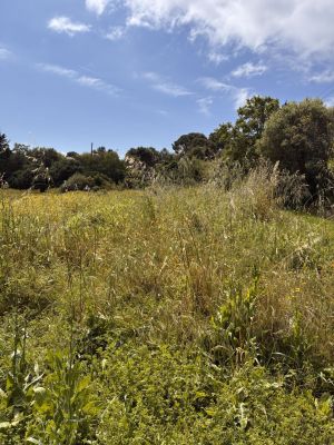 Vente terrain HYERES Var