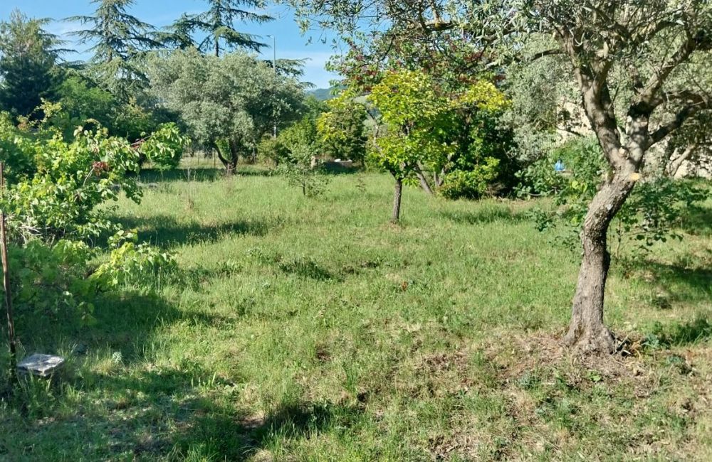 Vente terrain + maison CHATEAU-ARNOUX-SAINT-AUBAN Alpes-de-Haute-Provence