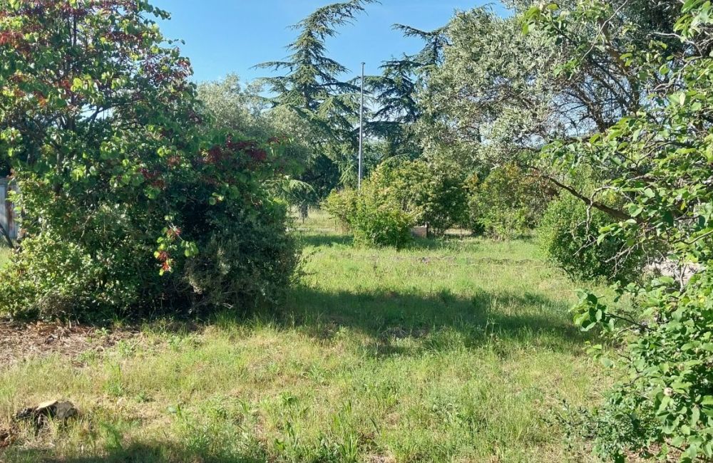 Vente terrain CHATEAU-ARNOUX-SAINT-AUBAN Alpes-de-Haute-Provence