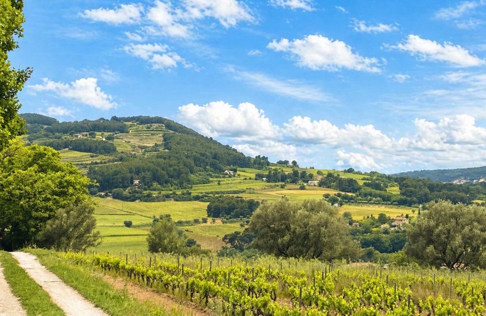 Vente terrain + maison LE CASTELLET Var