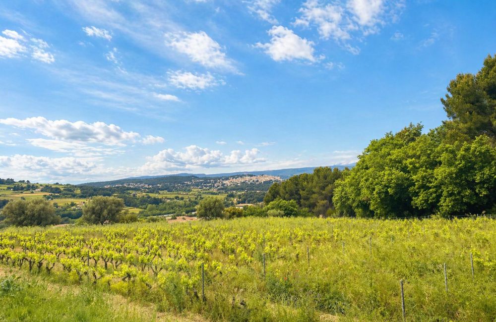 Vente terrain + maison LE CASTELLET Var