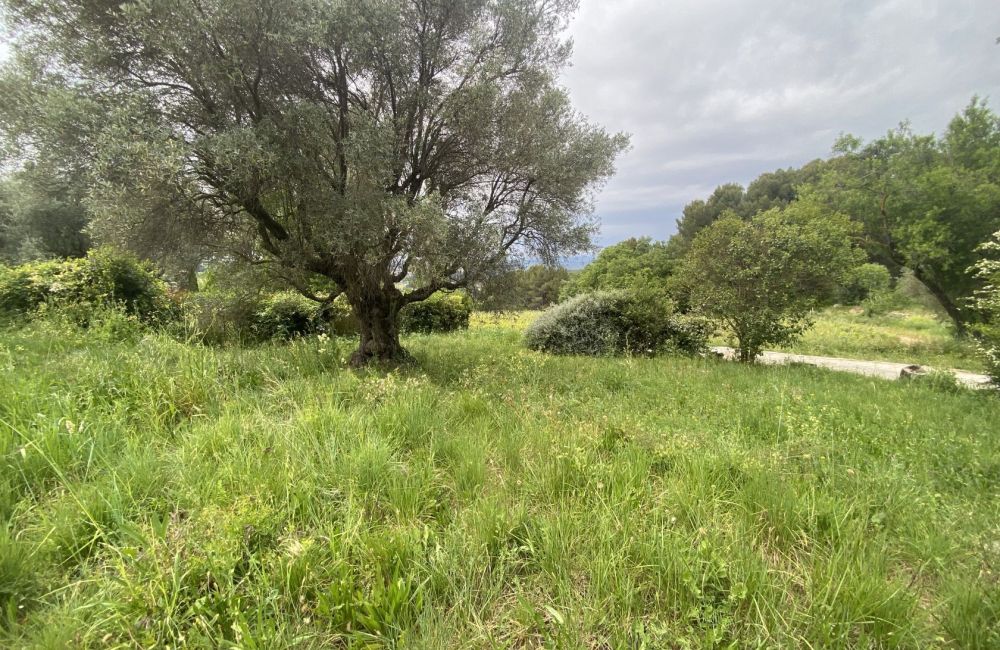 Vente terrain + maison LE CASTELLET Var