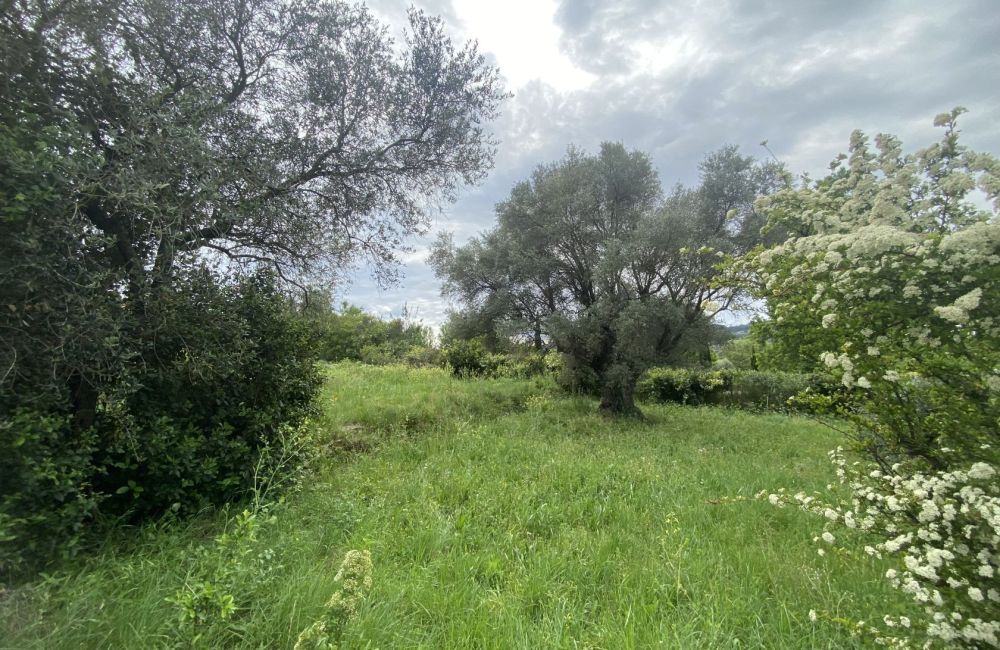 Vente terrain + maison LE CASTELLET Var