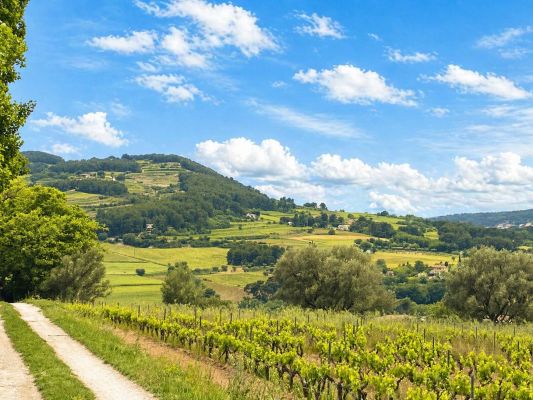 Vente terrain + maison LE CASTELLET Var