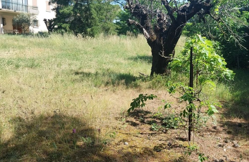 Vente terrain + maison LA TOUR-D'AIGUES Vaucluse