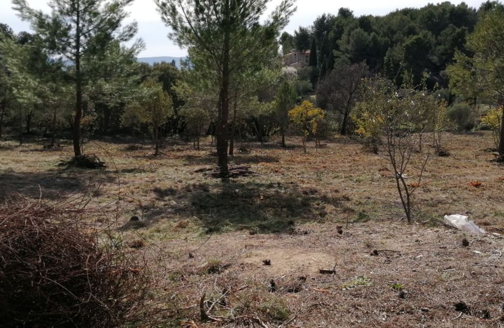 Vente terrain LA BASTIDONNE Vaucluse