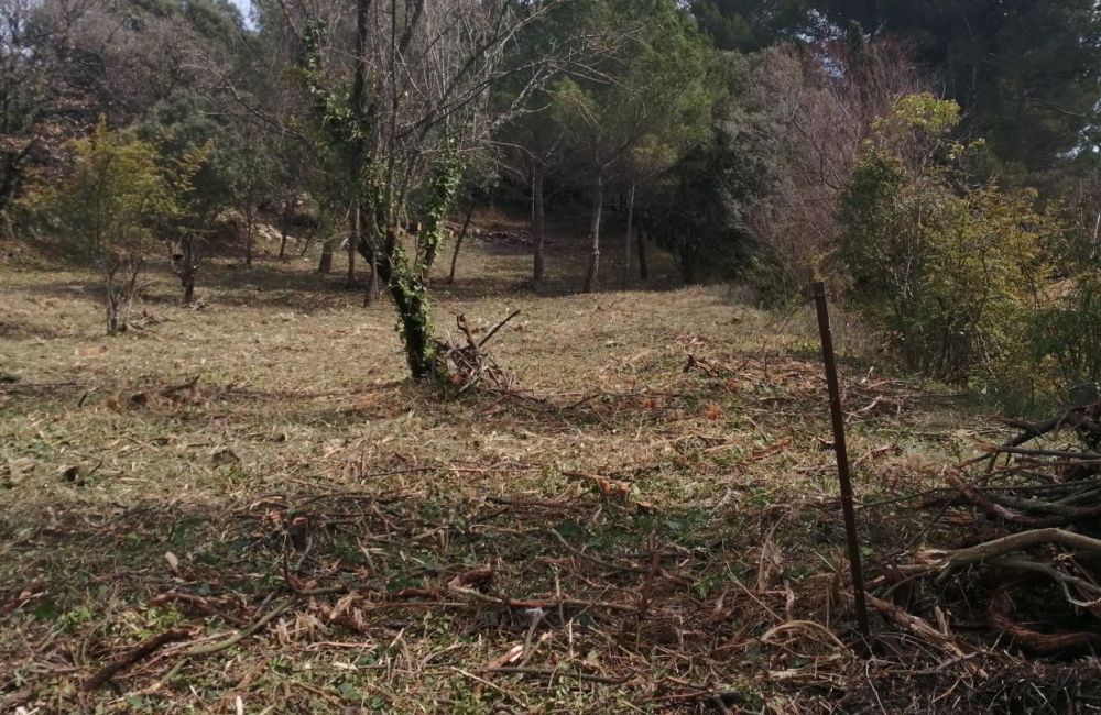 Vente terrain + maison LA BASTIDONNE Vaucluse