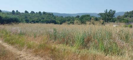 Vente terrain CERESTE Alpes-de-Haute-Provence