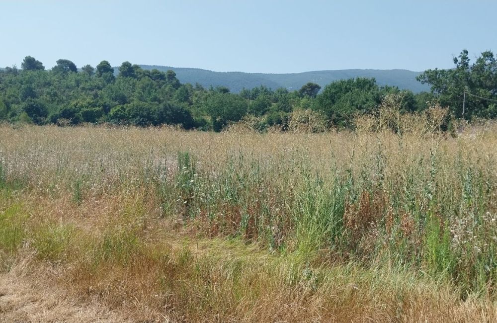 Vente terrain + maison CERESTE Alpes-de-Haute-Provence
