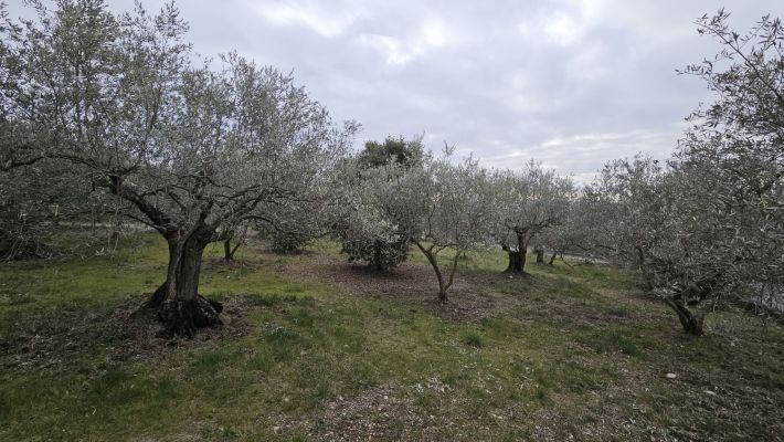 Vente terrain + maison MANOSQUE Alpes-de-Haute-Provence