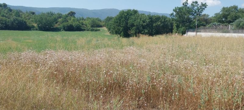 Vente terrain CERESTE Alpes-de-Haute-Provence