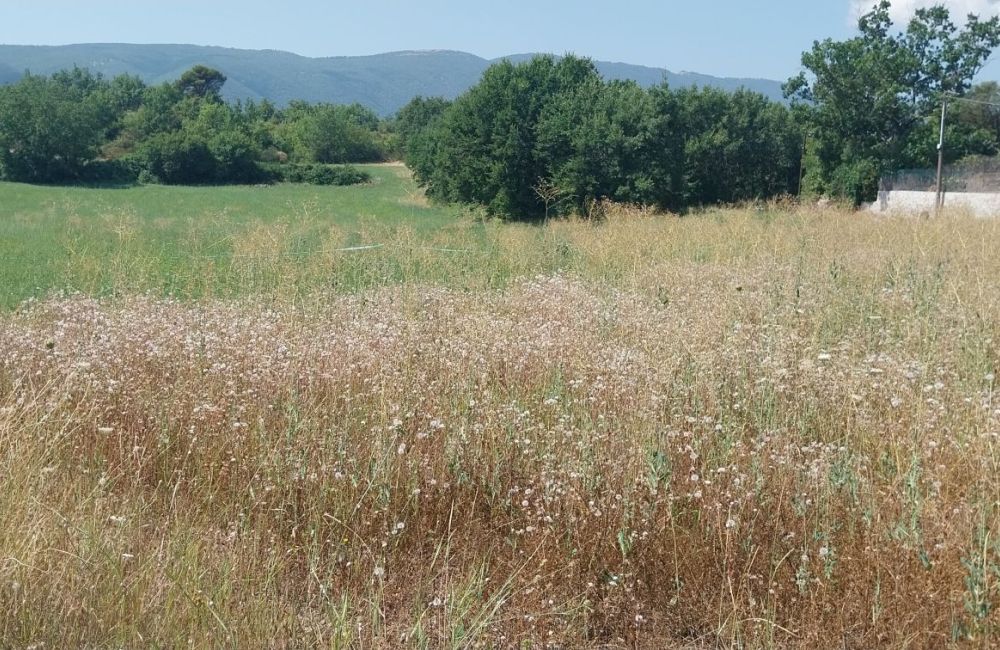 Vente terrain CERESTE Alpes-de-Haute-Provence