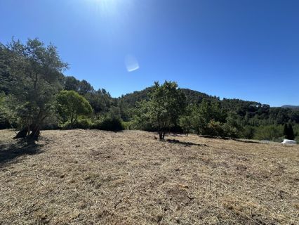 Vente terrain BELGENTIER Var