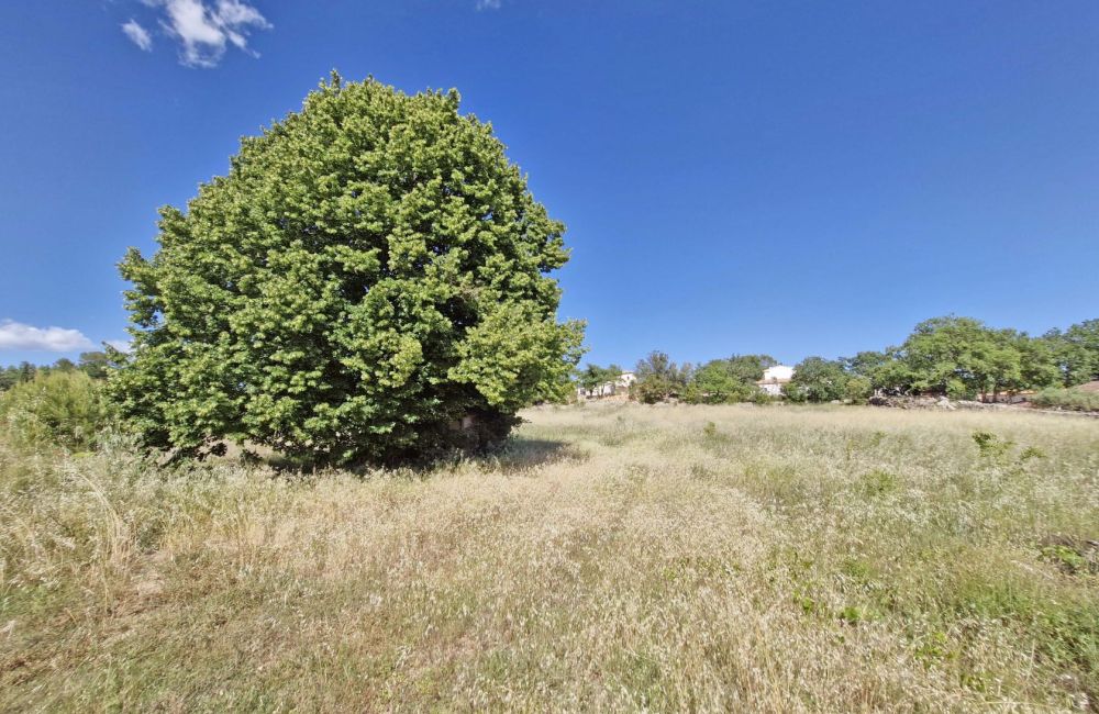 Vente terrain + maison SAINT-ANTONIN-DU-VAR Var