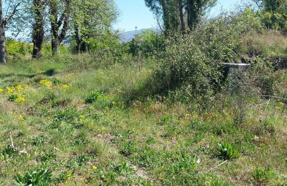 Vente terrain + maison PEYRUIS Alpes-de-Haute-Provence