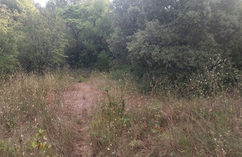 Vente terrain + maison APT Vaucluse