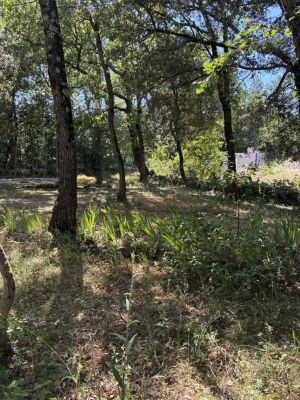 Vente terrain + maison GAREOULT Var