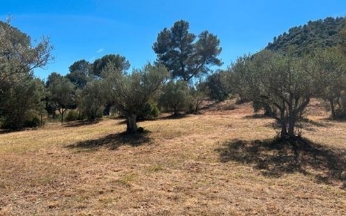 Vente terrain + maison GONFARON Var