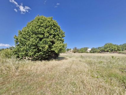 Vente terrain SAINT-ANTONIN-DU-VAR Var