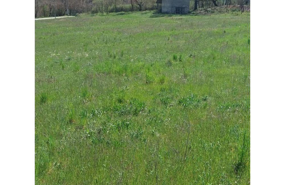 Vente terrain THOARD Alpes-de-Haute-Provence