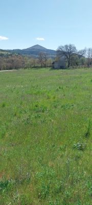 Vente terrain THOARD Alpes-de-Haute-Provence