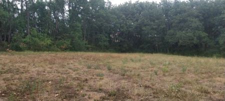 Vente terrain MALLEMOISSON Alpes-de-Haute-Provence