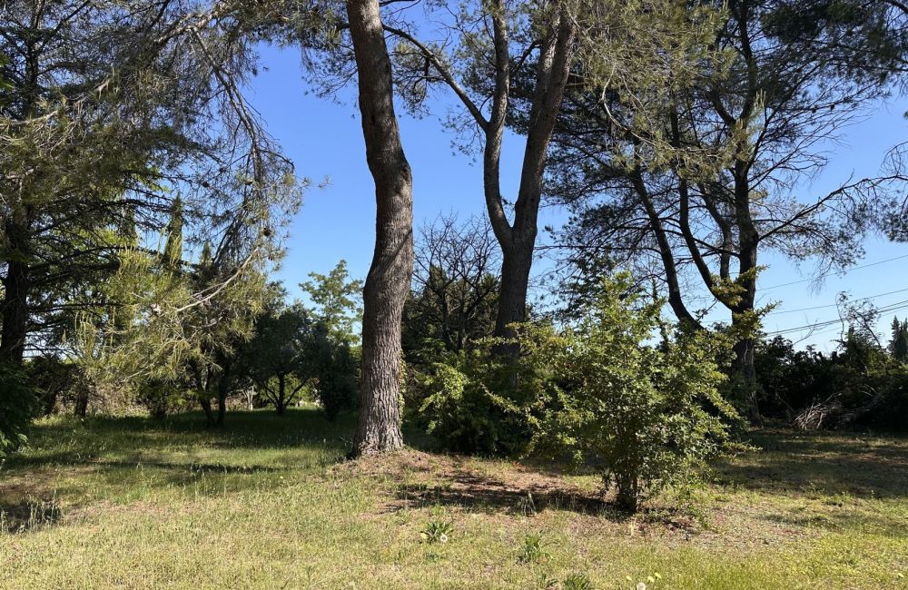 Vente terrain AIX-EN-PROVENCE Bouches-du-Rhône