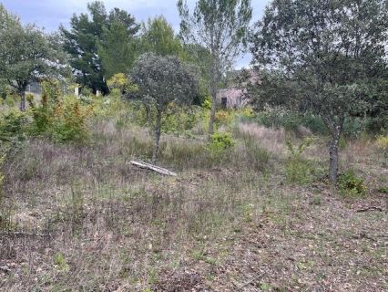 Vente terrain LA BASTIDONNE Vaucluse