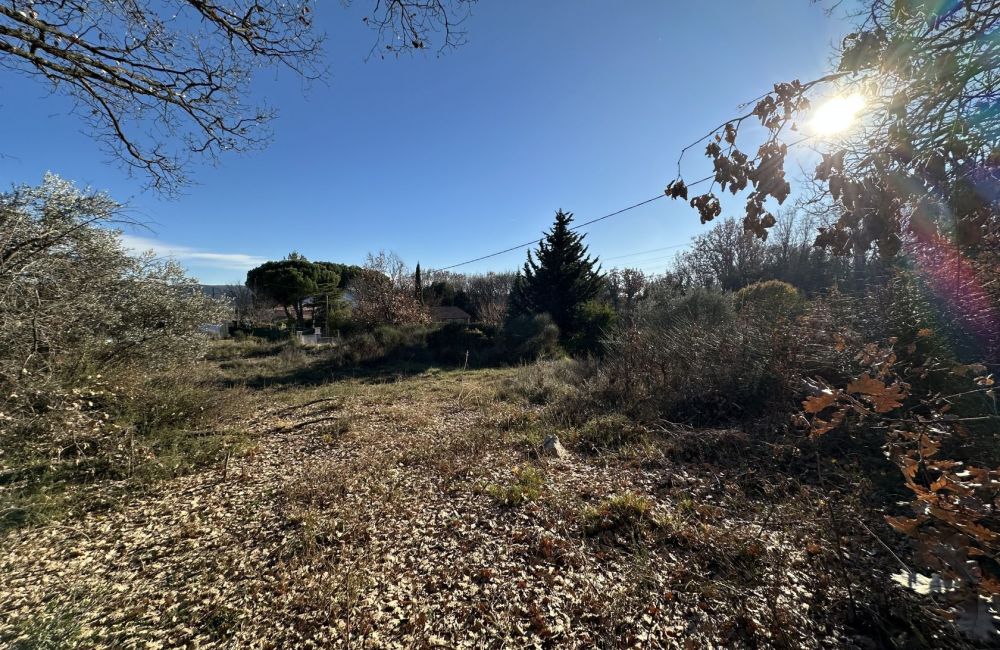 Vente terrain VILLENEUVE Alpes-de-Haute-Provence