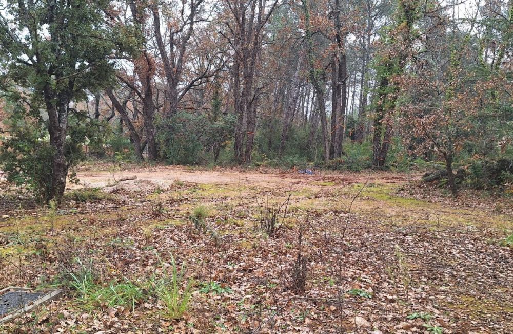 Vente terrain NANS-LES-PINS Var