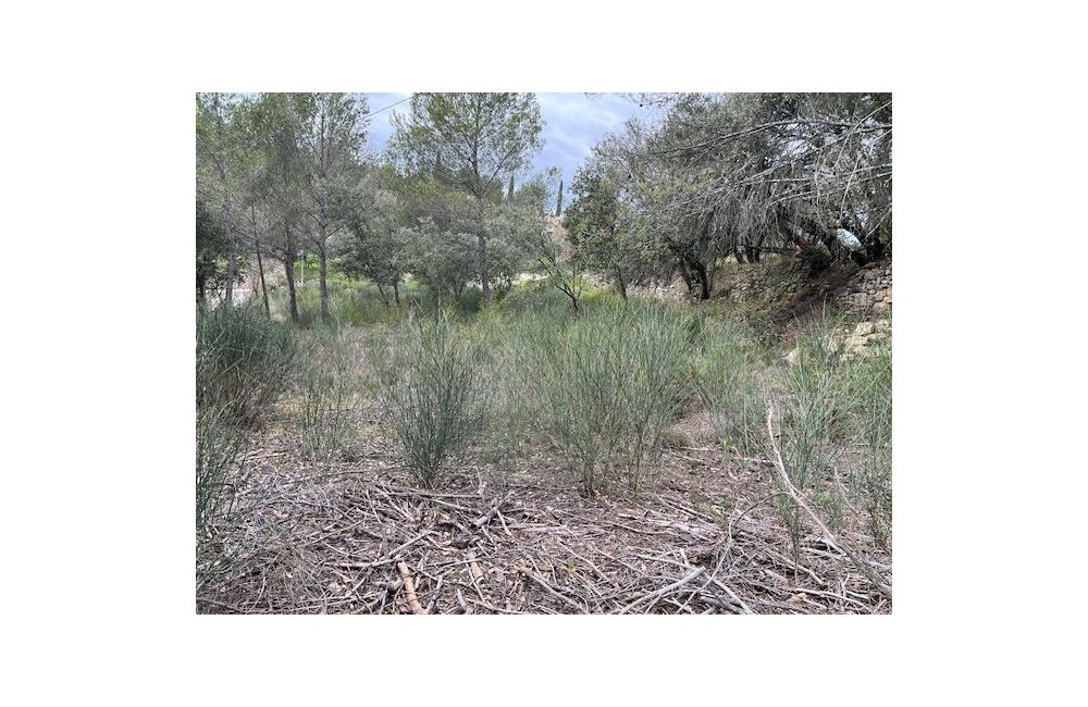 Vente terrain LA BASTIDONNE Vaucluse